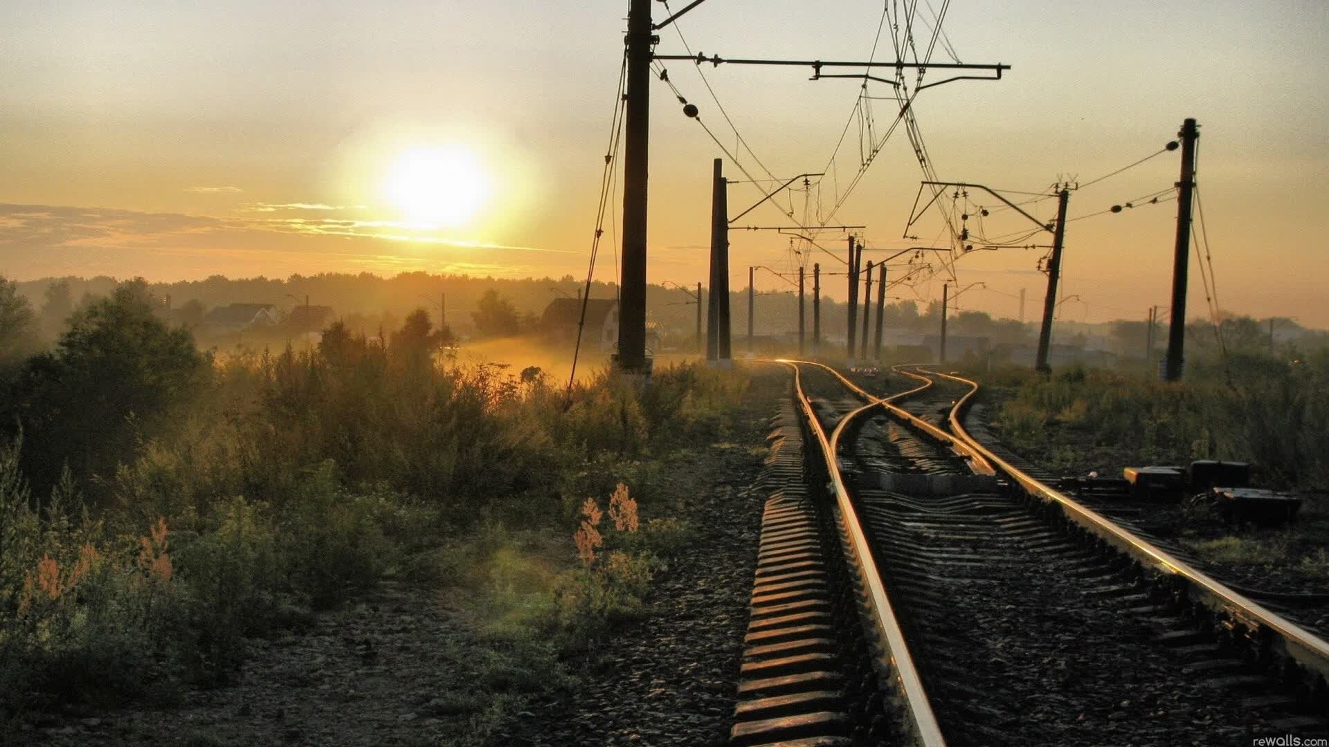 世界游泳接力技术统计平台数据复核通告，2021游泳接力赛